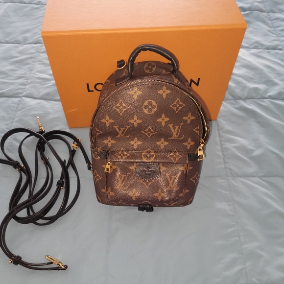 Louis Vuitton Palm SPRINGS Mini Brown Monogram Backpack - Picture 3 of 15